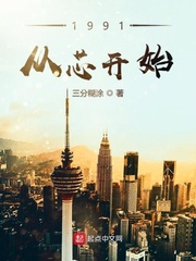 1991从芯开始